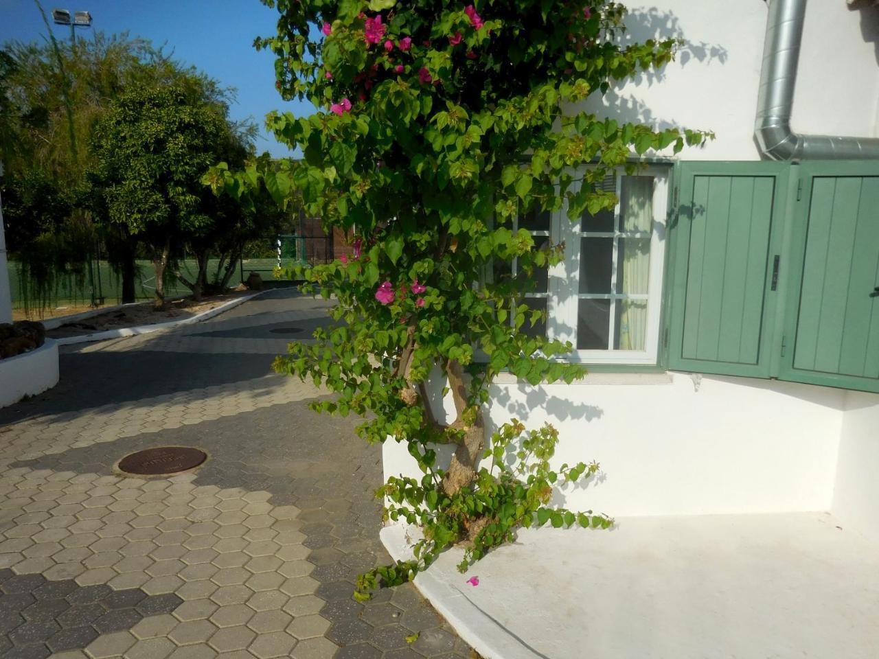 Holiday home Quinta Do Penedo - By Portugalferias